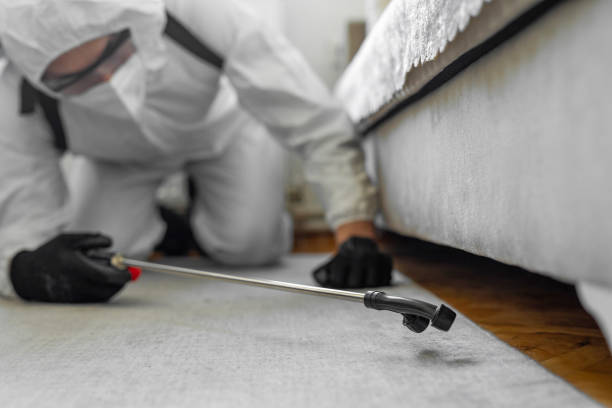 Professional Pest Control technician working in Boyceville, WI